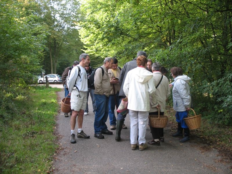 2006 10 Myco Etang d'Or 20